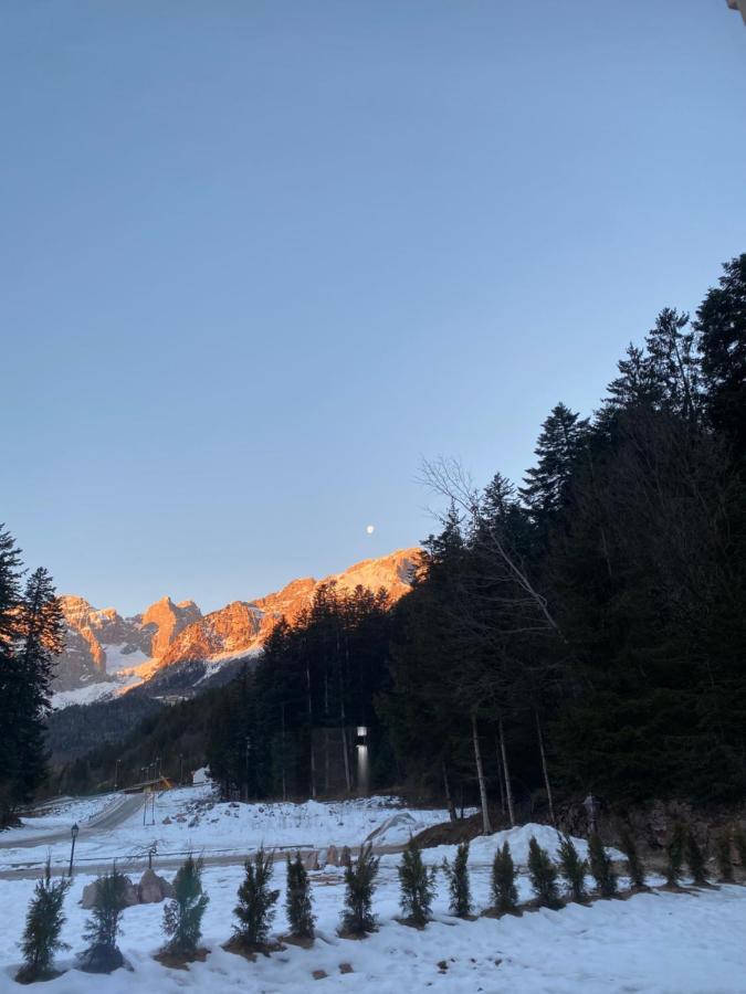 Chalet Relax Molveno E Andalo Dolomiti Villa Eksteriør bilde