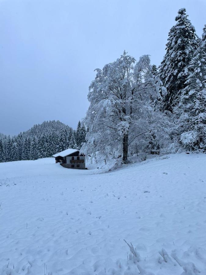 Chalet Relax Molveno E Andalo Dolomiti Villa Eksteriør bilde