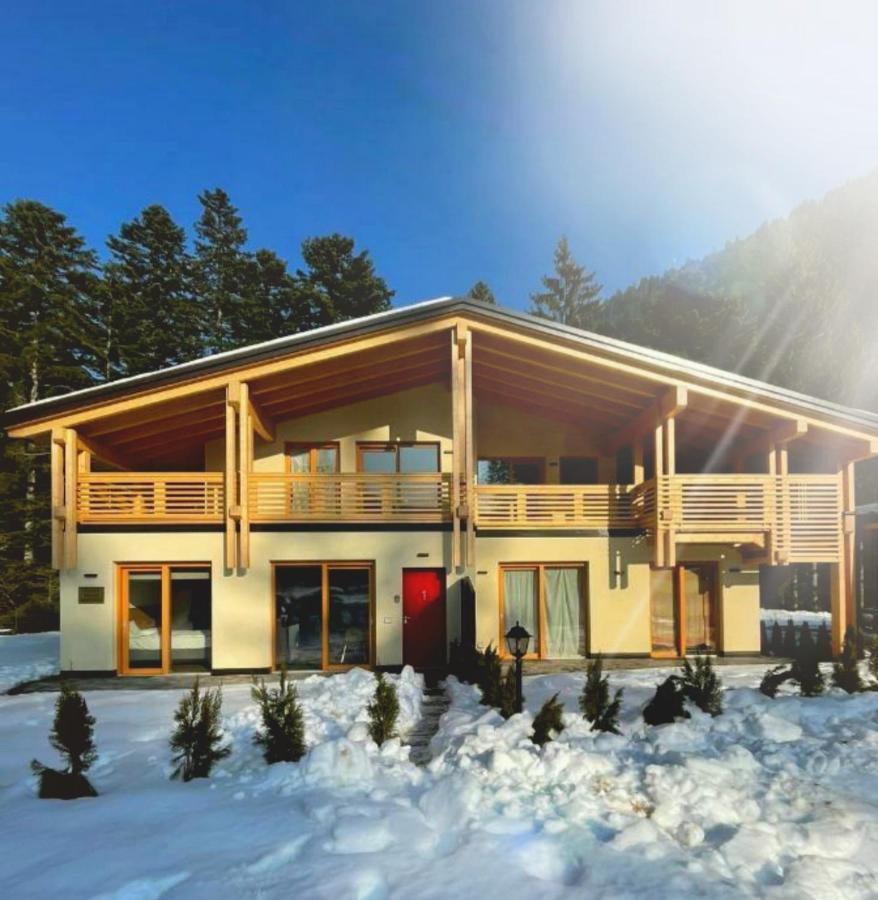 Chalet Relax Molveno E Andalo Dolomiti Villa Eksteriør bilde