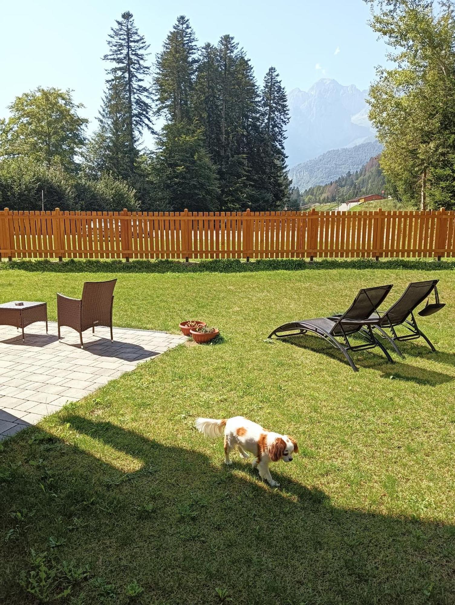 Chalet Relax Molveno E Andalo Dolomiti Villa Eksteriør bilde